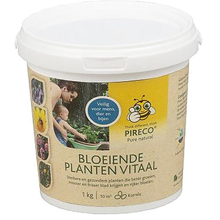 Bloeiende Planten Vitaal