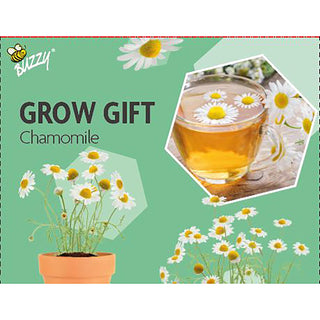 Groeicadeautje  Kamille