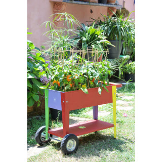 Urban Garden Trolley Kids