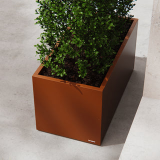 Moestuinbak Corten 50