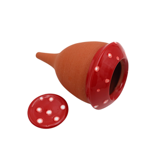 Olla Paddenstoel 'Boleet'