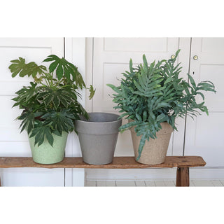 Plantenpot 'Jungle Fever' XL