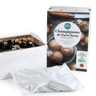 Champignons de Paris bruns BIO
