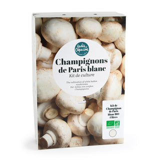 Witte Champignons BIO