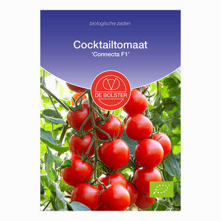 Cocktailtomaat 'Connecta F1'