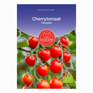 Cherrytomaat  ‘Cheralita’, De Bolster
