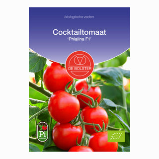 Cocktailtomaat 'Phialina F1'