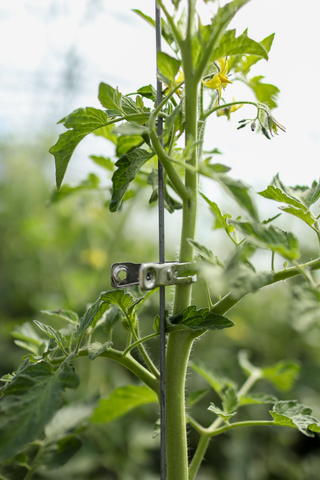 Metalen Plantenclips (12)