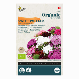 Duizendschoon Sweet William