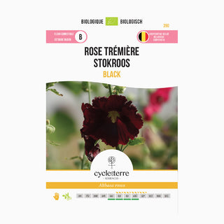 Stokroos Zwart 