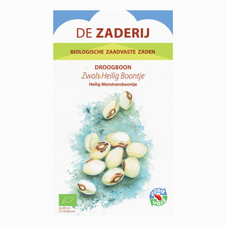 Stokdroogboon 'Zwols Heilig Boontje' De Zaderij