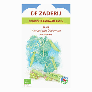 Doperwt 'Het Wonder van Scheemda'