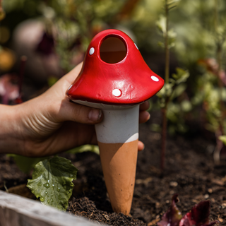 Embout d’arrosage champignon