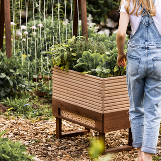 Kweektafel + Insectenhotel M