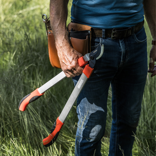 Lichtgewicht Takkenschaar (Voorbijsnijdend)