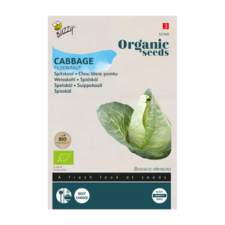 Chou pointu 'Filderkraut'