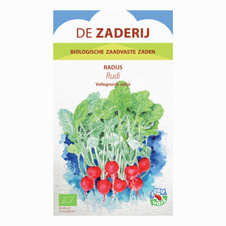 Radijs 'Rudi', De Zaderij 