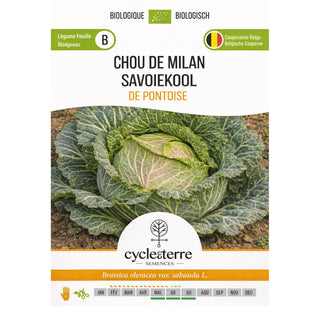 Milanese Kool uit Pontoise