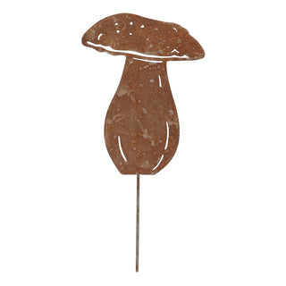 Tuinsteker Eekhoorntjesbrood