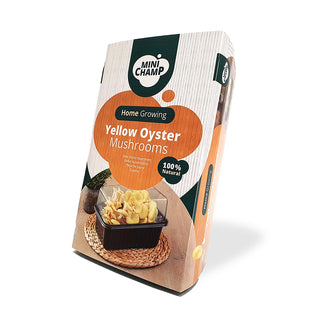 Gele Oesterzwammen BIO