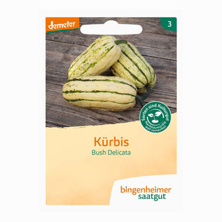 Pompoen 'Bush Delicata'