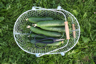 Artisan Tuinschaar