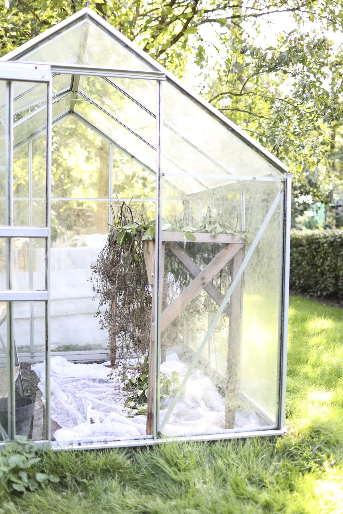 Tuinkas in een groene moestuin