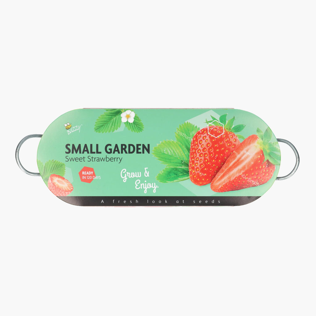 Buzzy Teil Small Garden - Sweet Strawberry