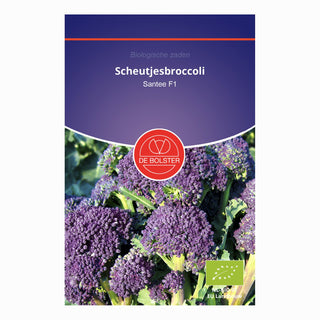 De Bolster Scheutjesbroccoli 'Santee F1' 1466