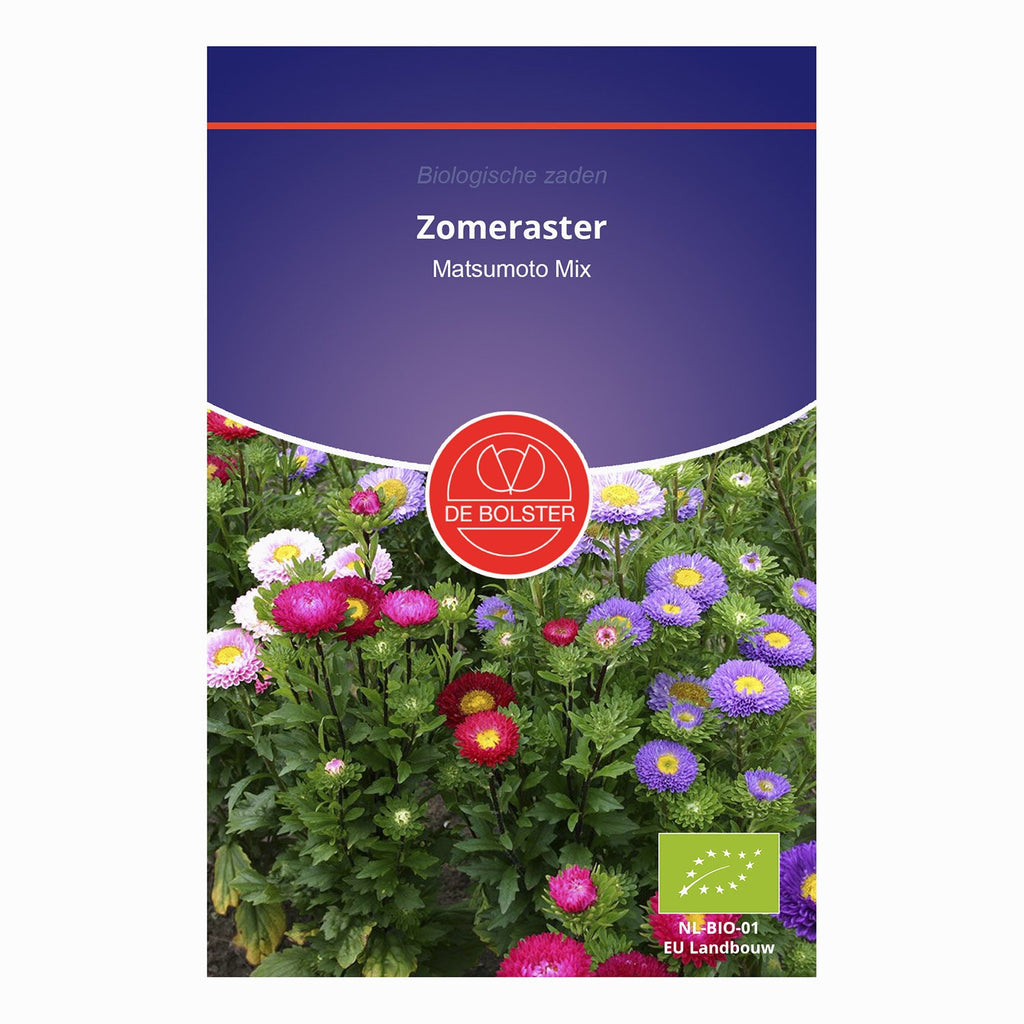 De Bolster Zomeraster 'Matsumoto Mix' 5160