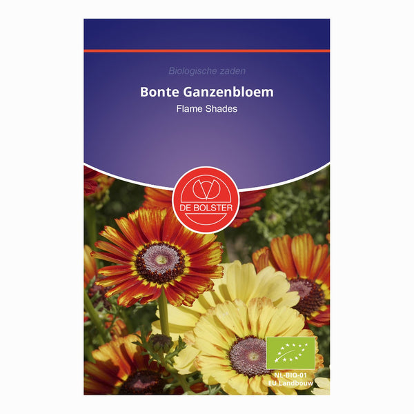 De Bolster Bonte Ganzenbloem 'Flame Shades' 5210