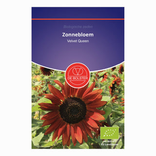 De Bolster Zonnebloem 'Velvet Queen' 5480