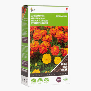 Tagetes Bonita 50g