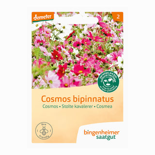 Bingenheimer Saatgut Cosmea