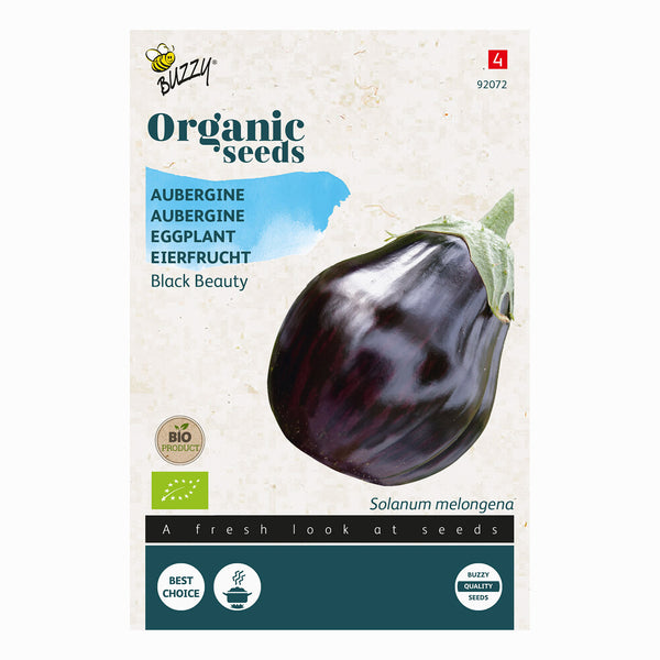 Buzzy Organic Aubergine Black Beauty 92072