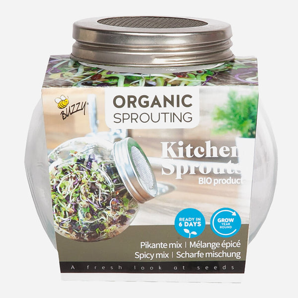 Buzzy Organic Kiemgroente Pikante Salade in Glazen Pot