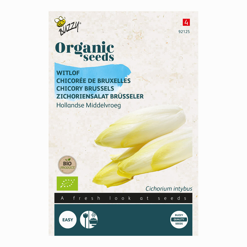 Buzzy Organic Witlof Hollandse Middelvroeg 92125