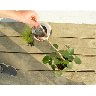 Esschert Design Gieter Goud